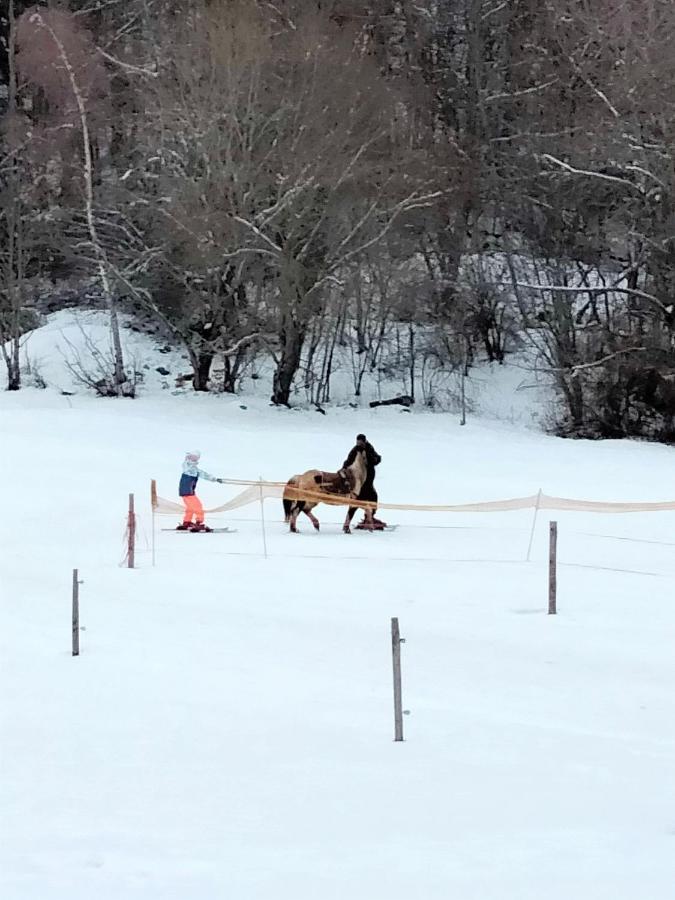 Pied Des Pistes * Saint-Leger-les-Melezes